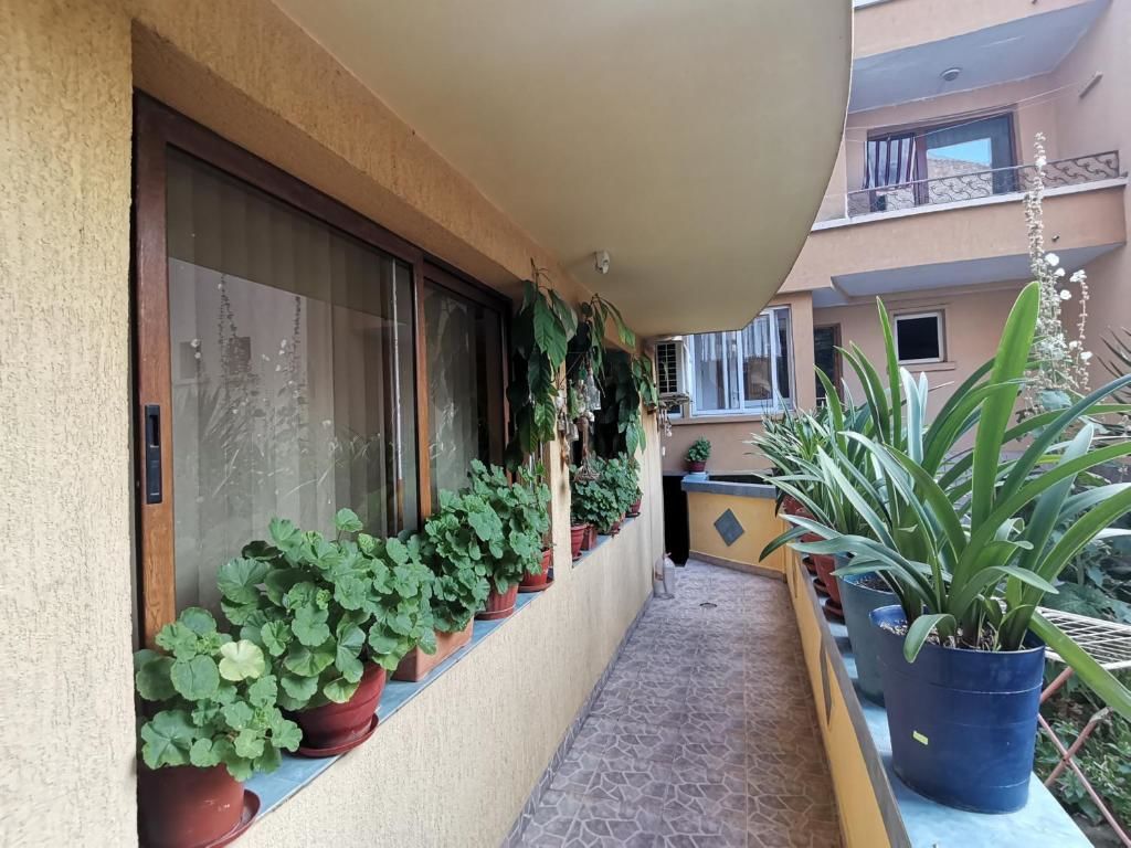 Гостевой дом Самостоятелни стаи Коста Кърлев Несебр-19